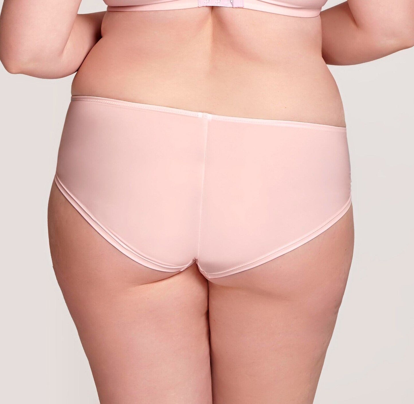 Sculptresse by Panache Logan Midi Brief Blush Pink Embroidered Knickers 9858