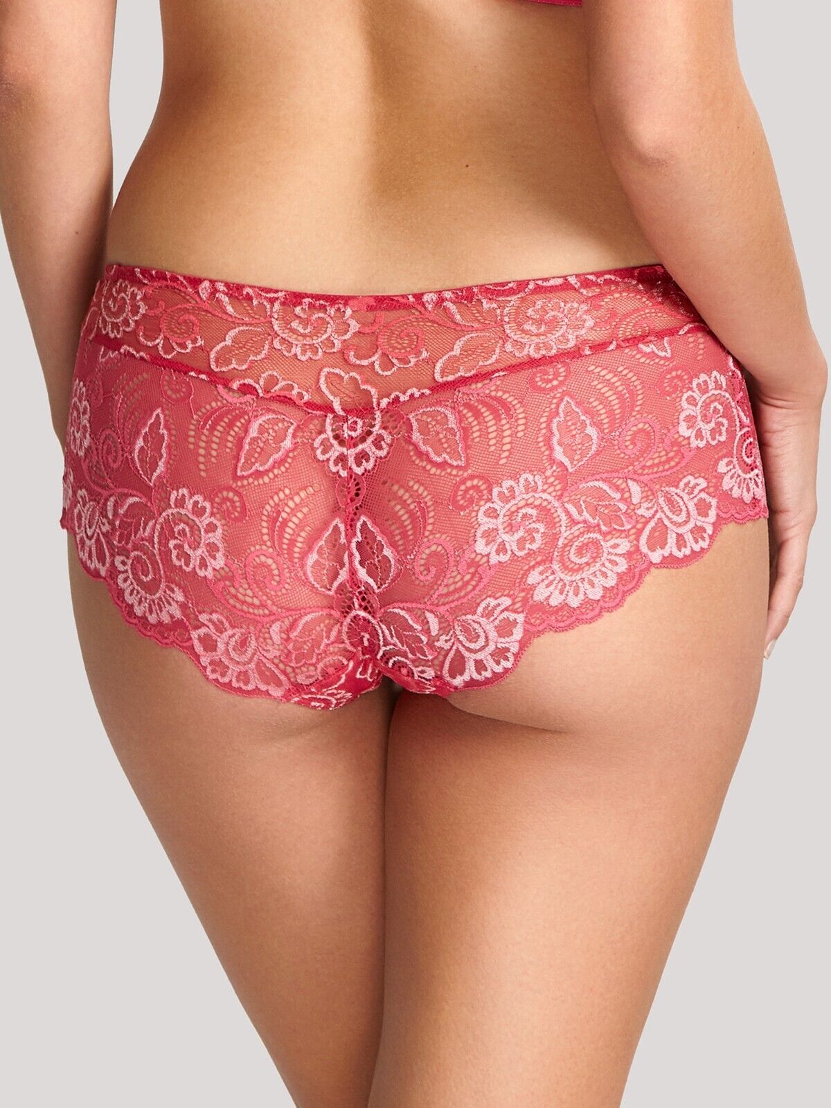 Panache Andorra Briefs Shorts Lace Lingerie Beautiful Luxurious Lingerie